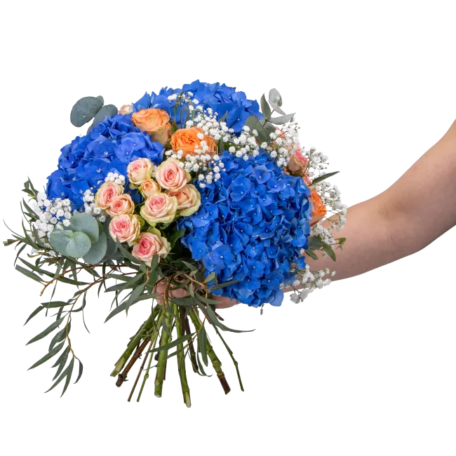 Bouquet of hydrangeas